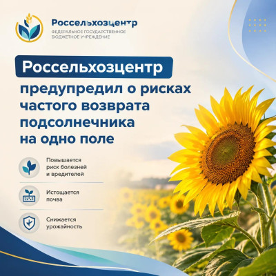 � �������� ���������� ����������� � ����������� ������������ �������