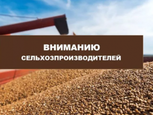 ��������������� ���������� ������� � 2024 ����